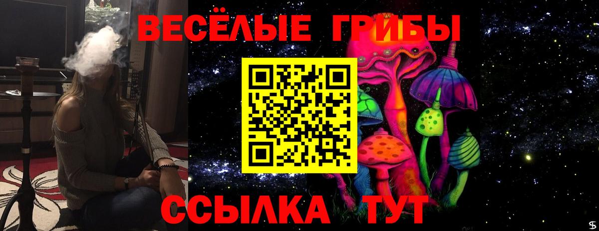 Выборг  Галлюциногенные грибы Cubensis  Галлюциногенные грибы GOLDEN TEACHER  Вход с VPN 