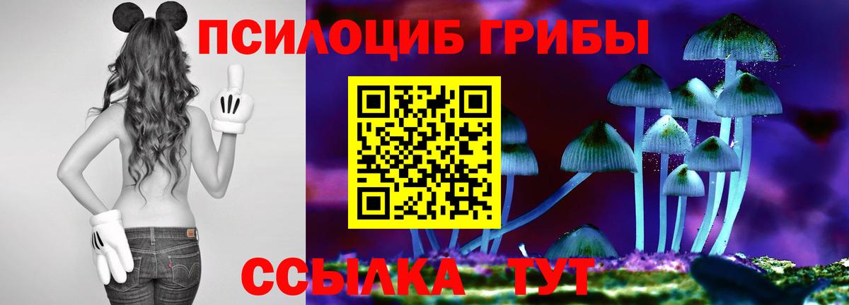 Лсд 25  Выборг  Кокаин  МАРИХУАНА  Кокаин  Марихуана  Меф   Сколько стоит  Меф МЯУ МЯУ   Альфа ПВП СК   ГАШ 