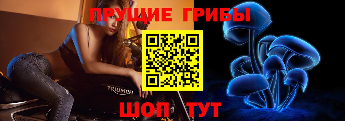 Галлюциногенные грибы прущие грибы  Выборг 