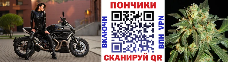 МАРИХУАНА OG Kush Выборг
